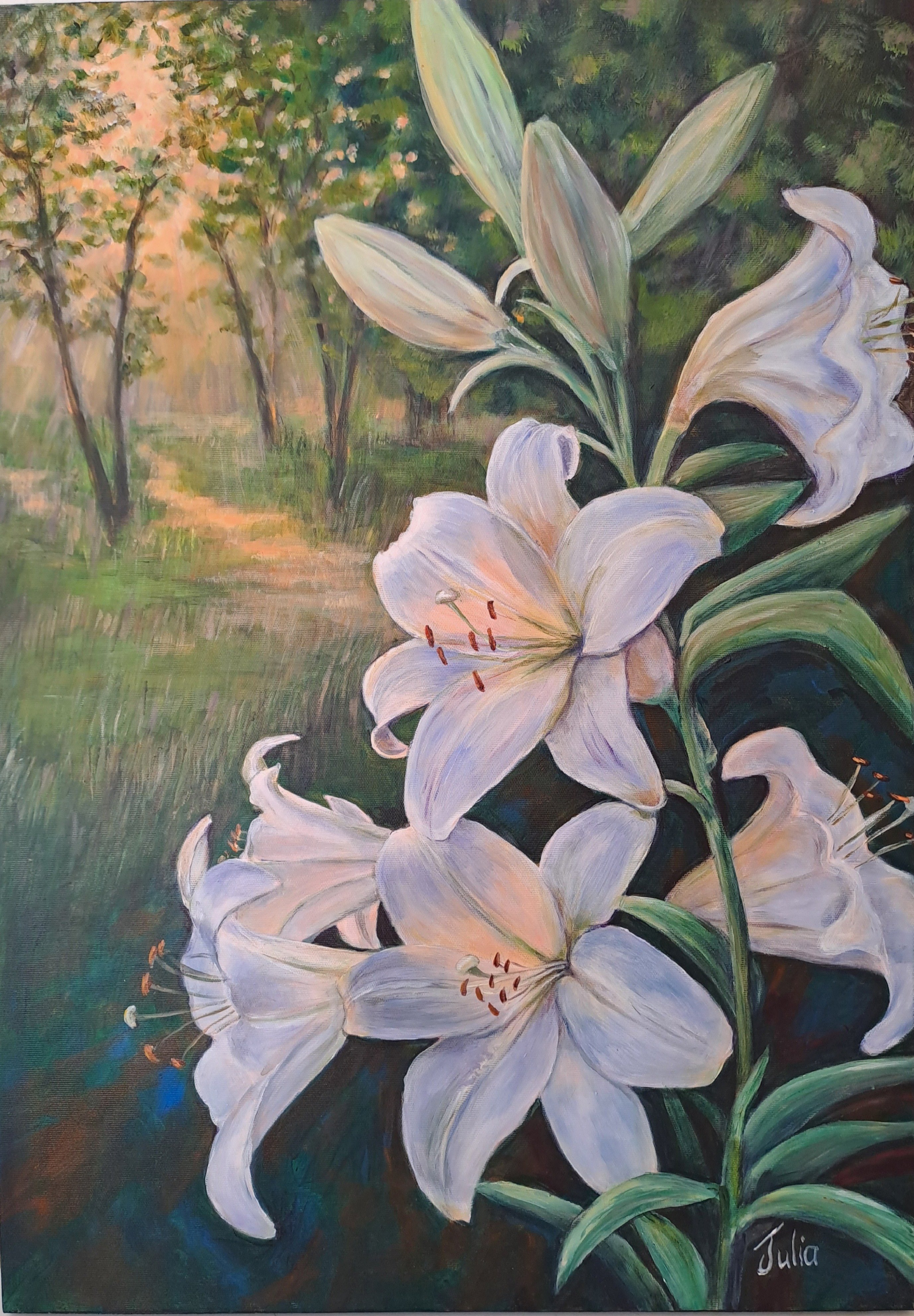 Golden Afternoon Glow